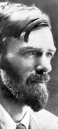 D.H. Lawrence